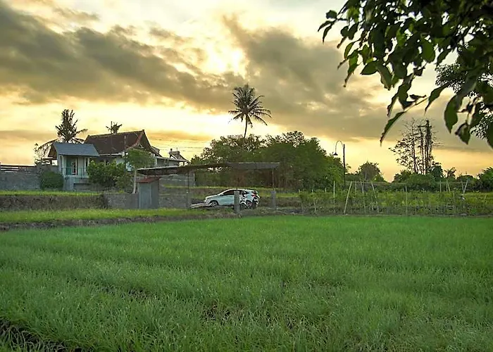 Hotel Castle By The Sea Medahan